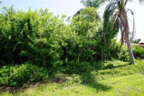 Land in Port Charlotte, Florida № 2165994