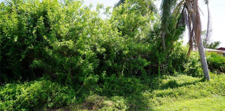 Land in Port Charlotte, Florida № 2165994