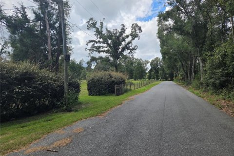 Casa en venta en Chiefland, Florida, 3 dormitorios, 145.02 m2 № 2384309 - foto 6