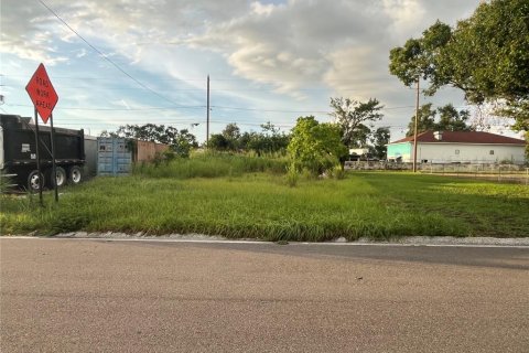 Land in Saint Petersburg, Florida № 1870485 - photo 2
