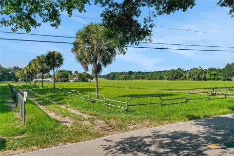 Propiedad comercial en venta en Pomona Park, Florida, 816.43 m2 № 1616836 - foto 5