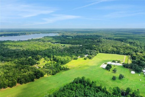 Propiedad comercial en venta en Pomona Park, Florida, 816.43 m2 № 1616836 - foto 22