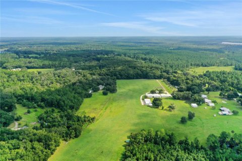 Propiedad comercial en venta en Pomona Park, Florida, 816.43 m2 № 1616836 - foto 13