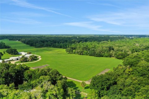 Propiedad comercial en venta en Pomona Park, Florida, 816.43 m2 № 1616836 - foto 17