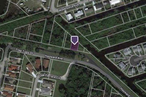 Land in Port Charlotte, Florida № 2160835
