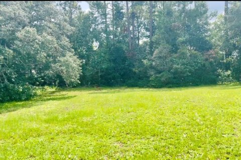 Casa en alquiler en Ocala, Florida, 3 dormitorios, 209.03 m2 № 1827159 - foto 19