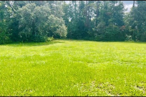 Casa en alquiler en Ocala, Florida, 3 dormitorios, 209.03 m2 № 1827159 - foto 20