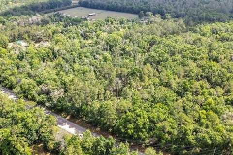 Terreno en venta en Brooksville, Florida № 1640609 - foto 4