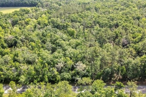 Terreno en venta en Brooksville, Florida № 1640609 - foto 3