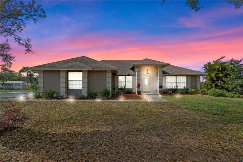 House in Mount Dora, Florida 3 bedrooms, 179.39 sq.m. № 1571505 - photo 1