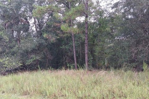 Land in Citrus Springs, Florida № 2347307