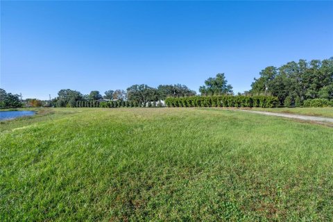 Land in Windermere, Florida № 1564509 - photo 27