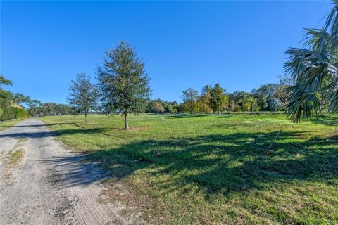 Land in Windermere, Florida № 1564509 - photo 22