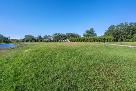 Land in Windermere, Florida № 1564509 - photo 29