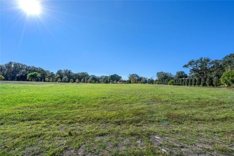 Land in Windermere, Florida № 1564509 - photo 24
