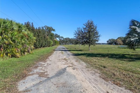 Land in Windermere, Florida № 1564509 - photo 21
