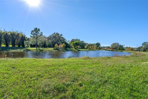Land in Windermere, Florida № 1564509 - photo 28