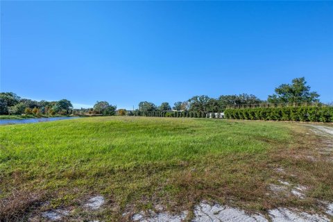 Land in Windermere, Florida № 1564509 - photo 25