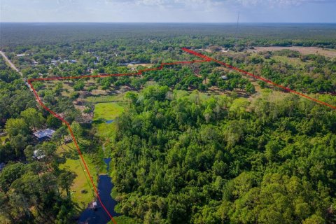 Land in Paisley, Florida № 1620801 - photo 7
