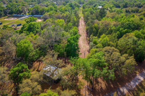 Land in Paisley, Florida № 1620801 - photo 28