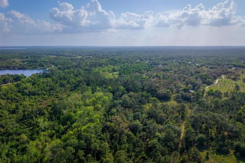 Land in Paisley, Florida № 1620801 - photo 11