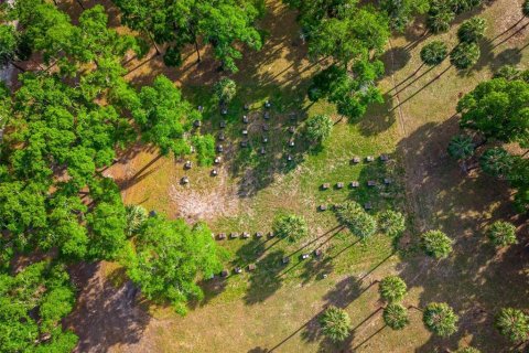 Land in Paisley, Florida № 1620801 - photo 20