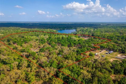 Land in Paisley, Florida № 1620801 - photo 17