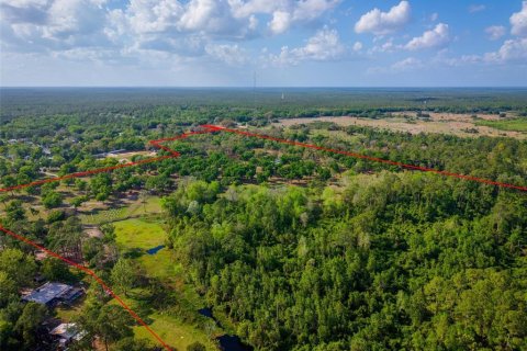 Land in Paisley, Florida № 1620801 - photo 6