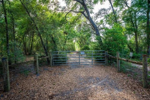 Land in Paisley, Florida № 1620801 - photo 30