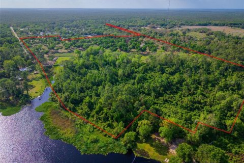 Land in Paisley, Florida № 1620801 - photo 8