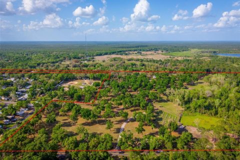 Land in Paisley, Florida № 1620801 - photo 3