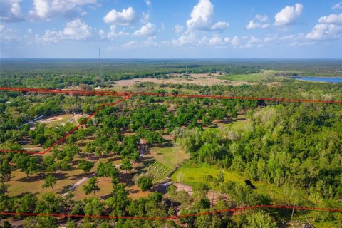 Land in Paisley, Florida № 1620801 - photo 4