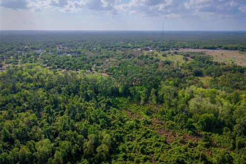 Land in Paisley, Florida № 1620801 - photo 10