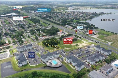 Land in Winter Haven, Florida № 2104104 - photo 4