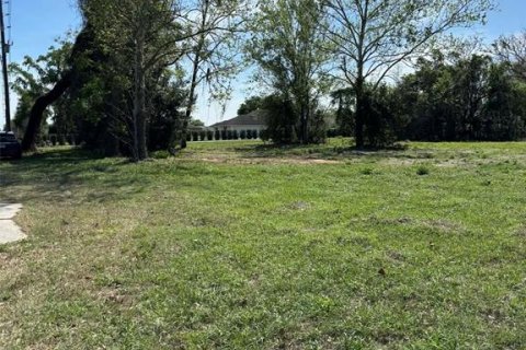Immobilier commercial à vendre à Groveland, Floride № 2155388 - photo 4