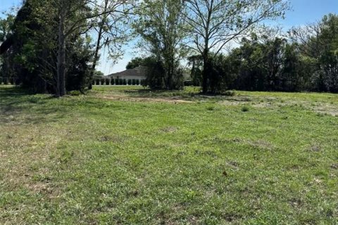 Immobilier commercial à vendre à Groveland, Floride № 2155388 - photo 6