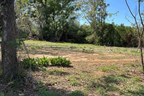 Immobilier commercial à vendre à Groveland, Floride № 2155388 - photo 5