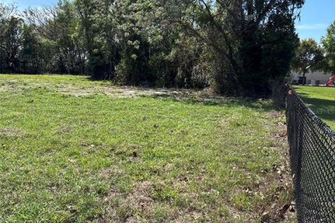 Immobilier commercial à vendre à Groveland, Floride № 2155388 - photo 8