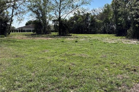 Immobilier commercial à Groveland, Floride № 2155388