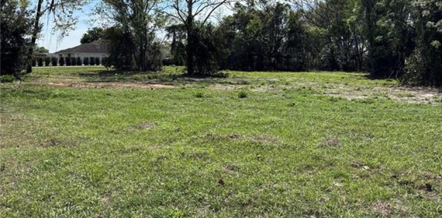 Immobilier commercial à Groveland, Floride № 2155388