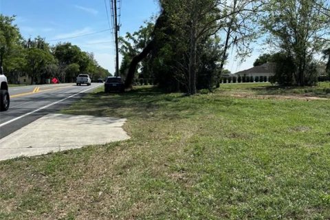 Immobilier commercial à vendre à Groveland, Floride № 2155388 - photo 9