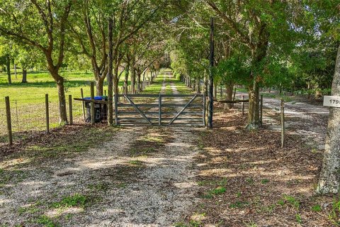 Купить земельный участок в Уинтер-Гарден, Флорида № 1919332 - фото 6