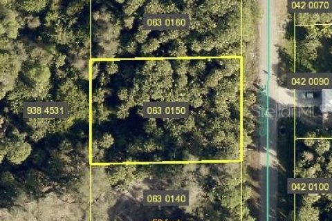 Land in Lehigh Acres, Florida № 1519661 - photo 2