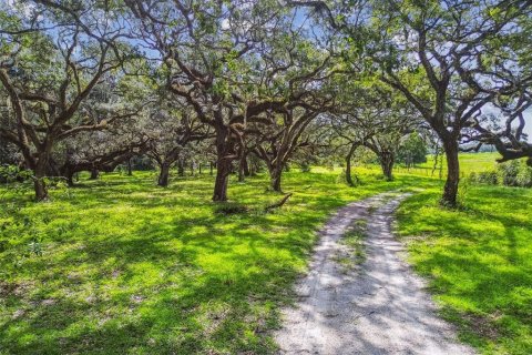 Terreno en venta en Spring Hill, Florida № 1919544 - foto 4