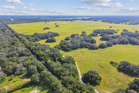 Terreno en venta en Spring Hill, Florida № 1919544 - foto 21