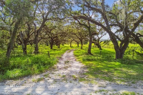 Terreno en venta en Spring Hill, Florida № 1919544 - foto 2