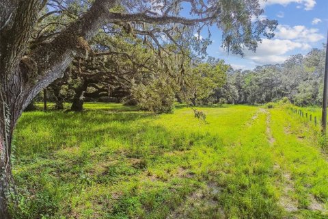 Terreno en venta en Spring Hill, Florida № 1919544 - foto 5