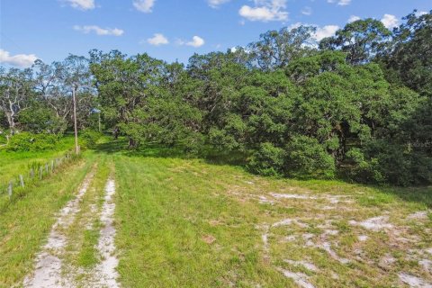 Terreno en venta en Spring Hill, Florida № 1919544 - foto 7