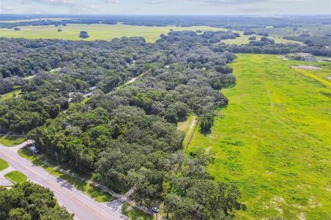 Terreno en venta en Spring Hill, Florida № 1919544 - foto 14