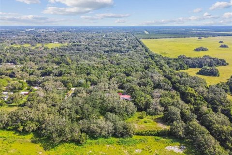 Terreno en venta en Spring Hill, Florida № 1919544 - foto 20